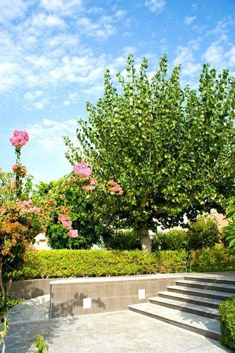 Alfa Hotel Apartments Gerani  Buitenkant foto